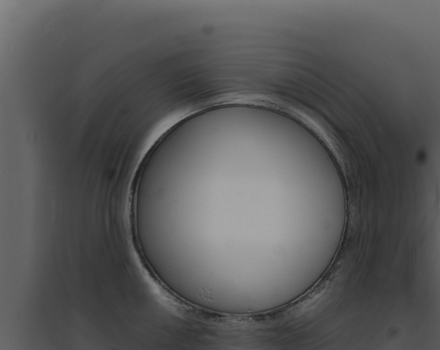 X0000094821050200711161023