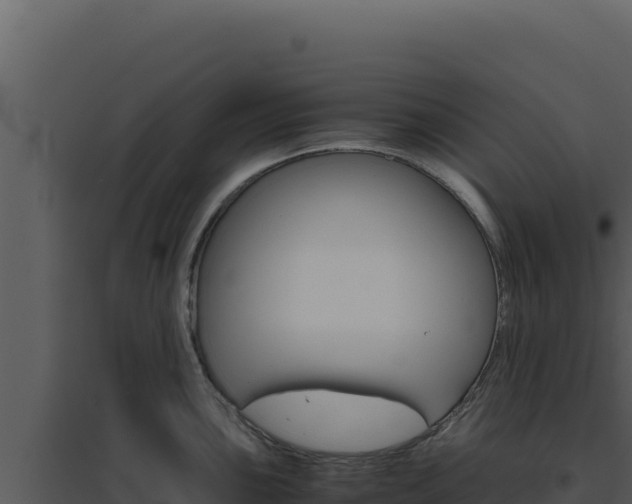 X0000094821051200711161023
