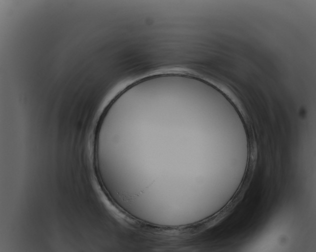 X0000094821054200711161023