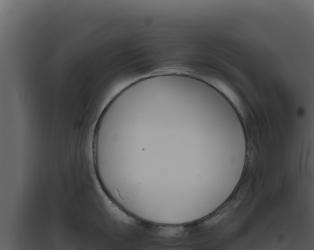 X0000094821055200711161023