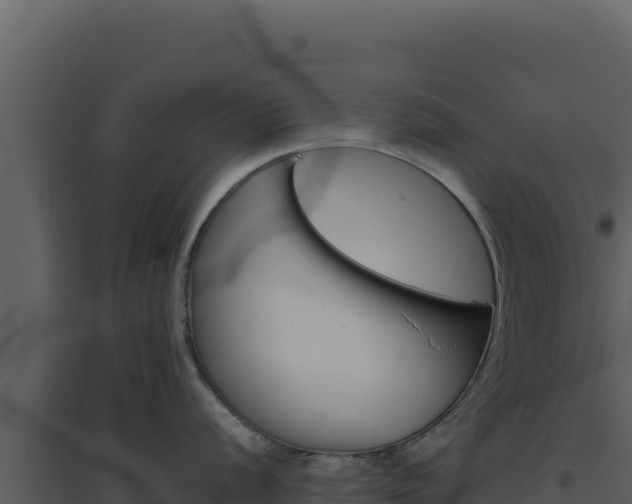 X0000094821056200711161023