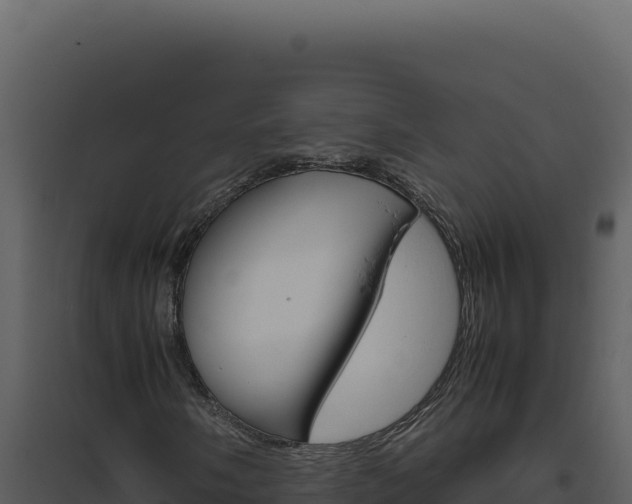 X0000094821058200711161023