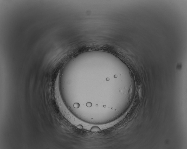 X0000094821059200711161023