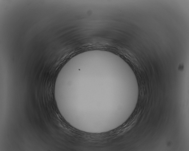 X0000094821060200711161023