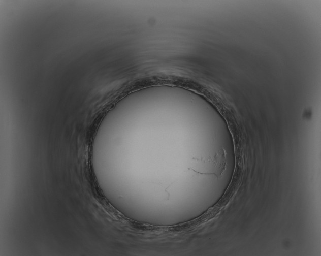 X0000094821061200711161023