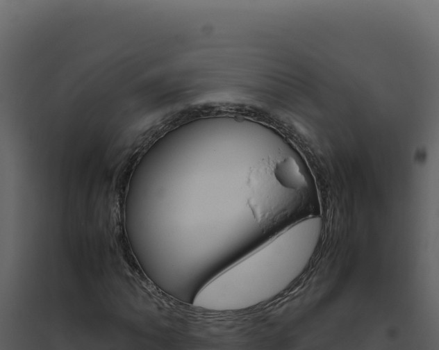 X0000094821062200711161023