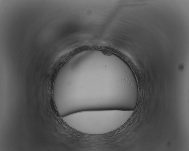 X0000094821063200711161023