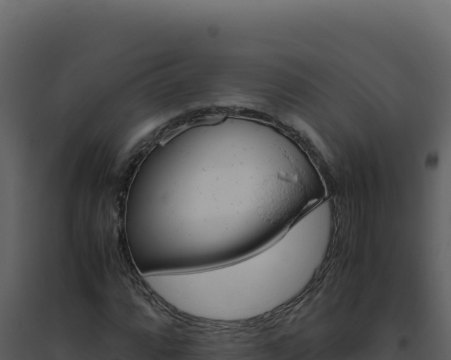 X0000094821064200711161023