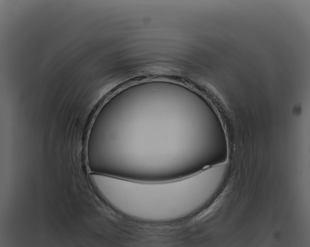 X0000094821065200711161022
