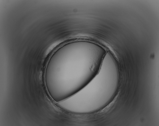 X0000094821066200711161022