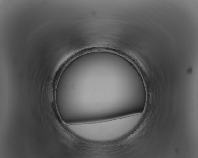 X0000094821069200711161022