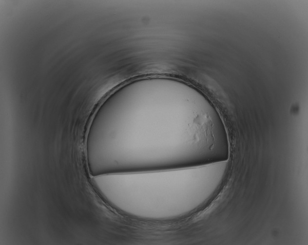 X0000094821073200711161022
