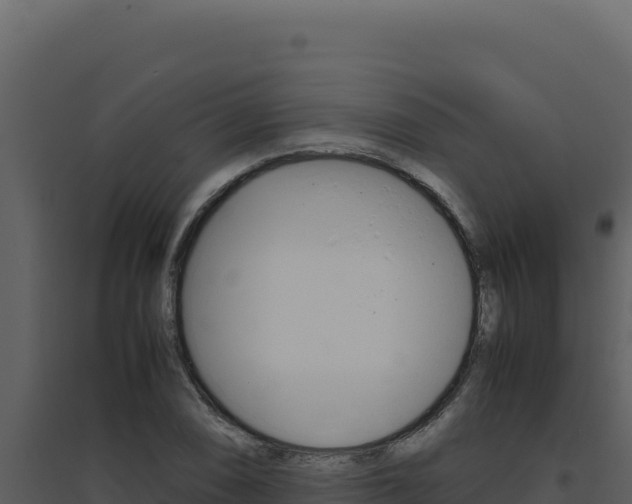 X0000094821074200711161022
