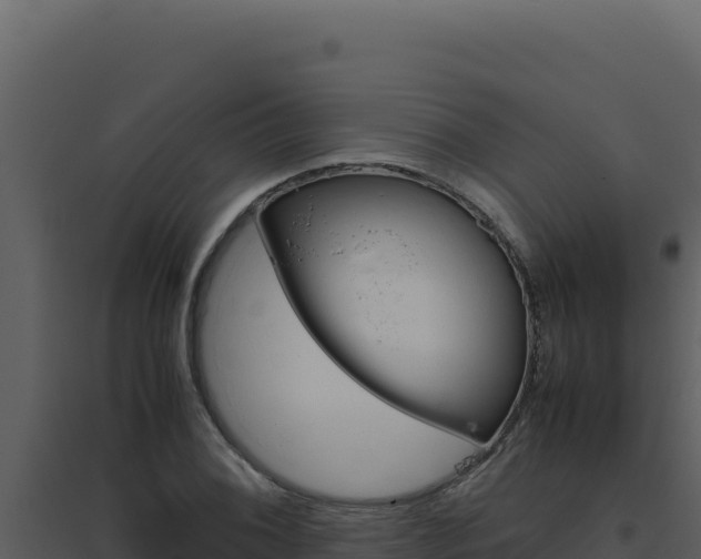 X0000094821076200711161022