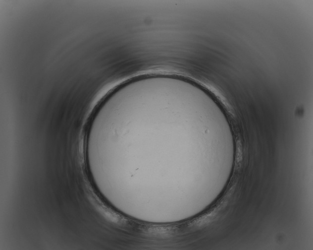 X0000094821078200711161022