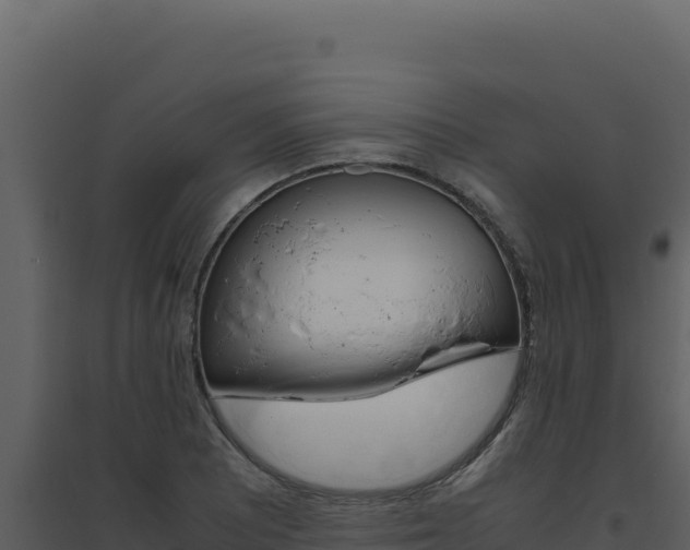 X0000094821081200711161022