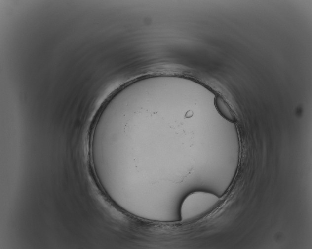 X0000094821083200711161022