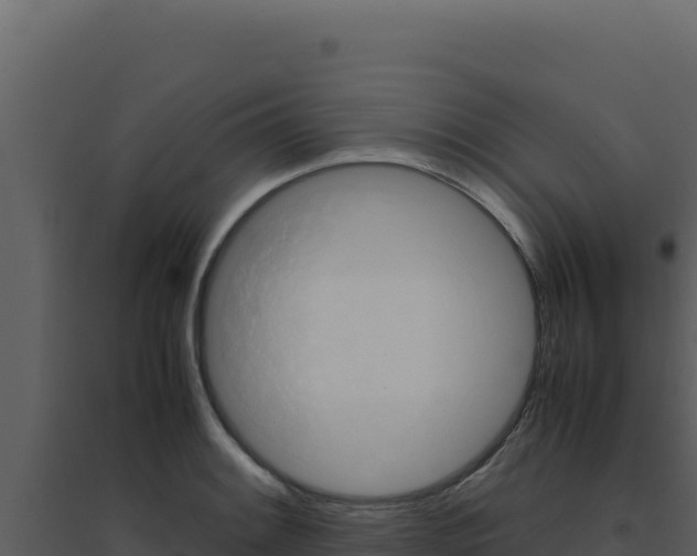 X0000094821084200711161022