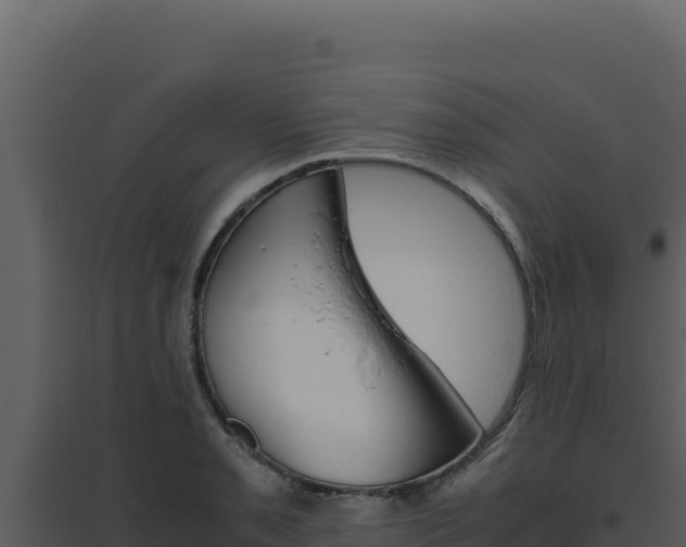 X0000094821085200711161022
