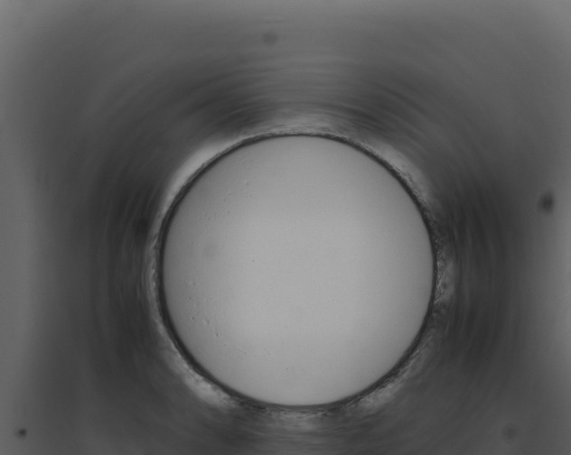 X0000094821086200711161022