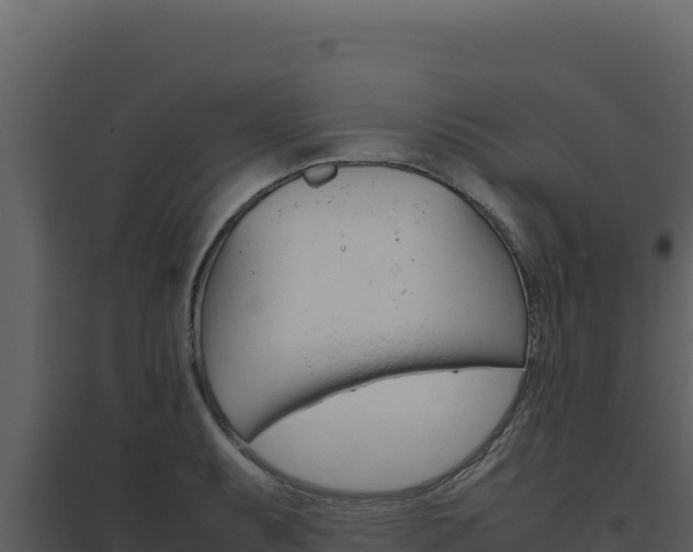 X0000094821087200711161022