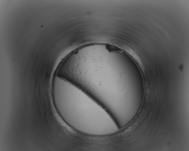 X0000094821088200711161022