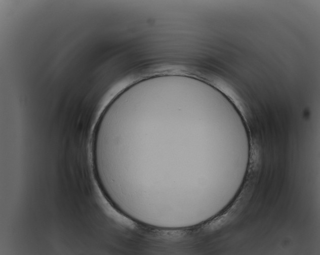 X0000094821090200711161022