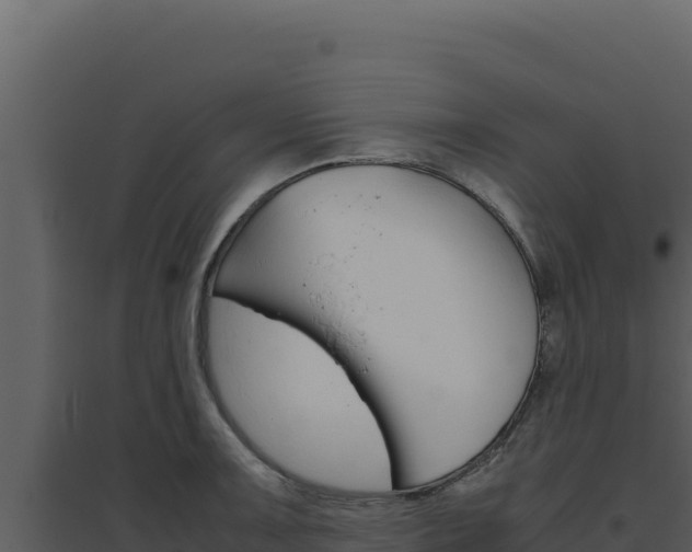 X0000094821091200711161022