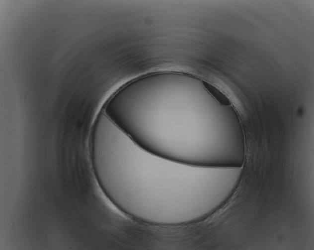 X0000094821092200711161022