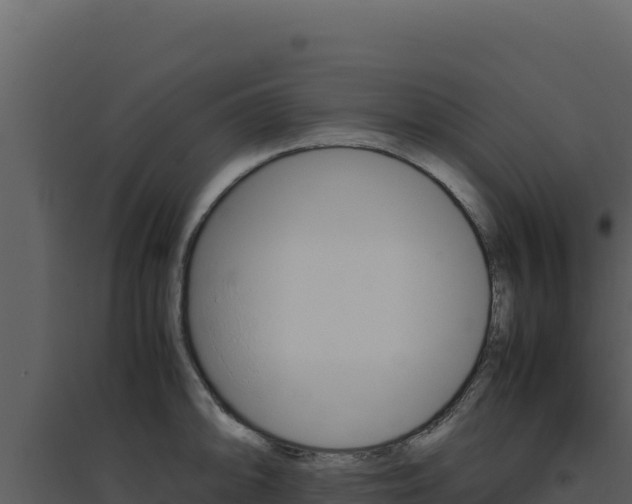 X0000094821094200711161022