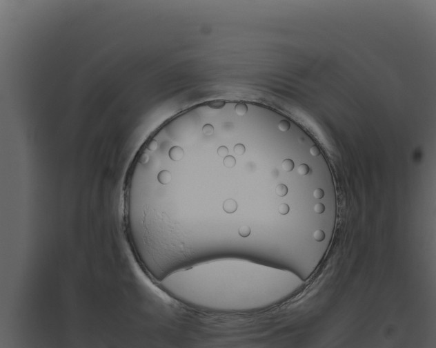 X0000094821095200711161022