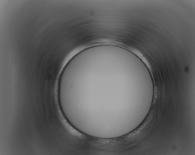 X0000094821098200711161022