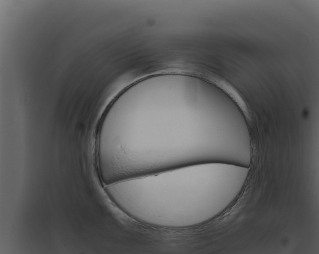X0000094821099200711161022