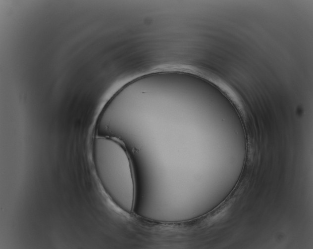 X0000094821102200711161022