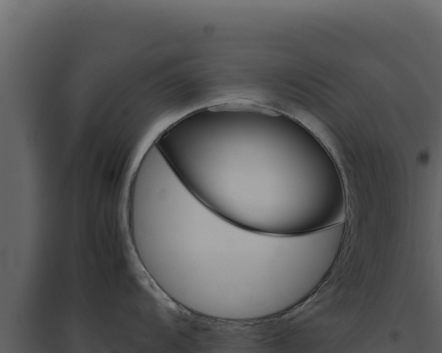 X0000094821104200711161022