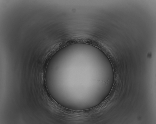 X0000094821108200711161021
