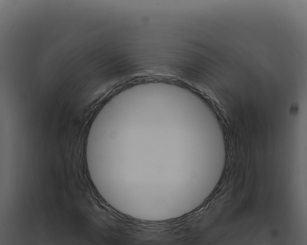 X0000094821110200711161021