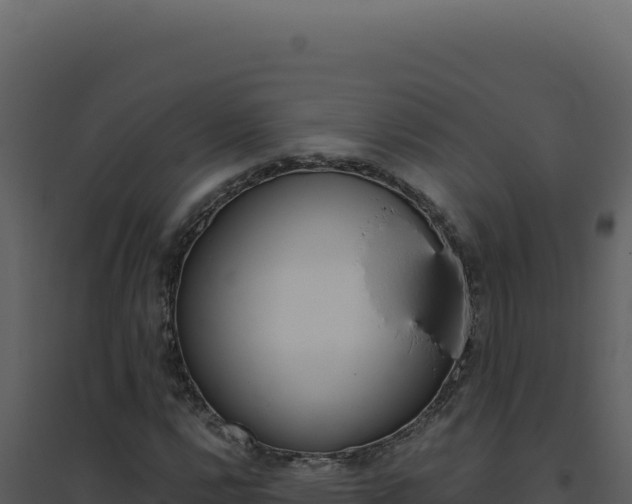 X0000094821112200711161021