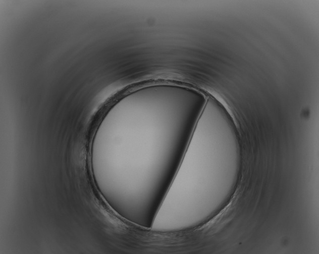 X0000094821115200711161021