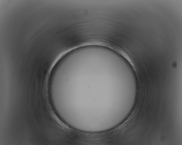 X0000094821116200711161021