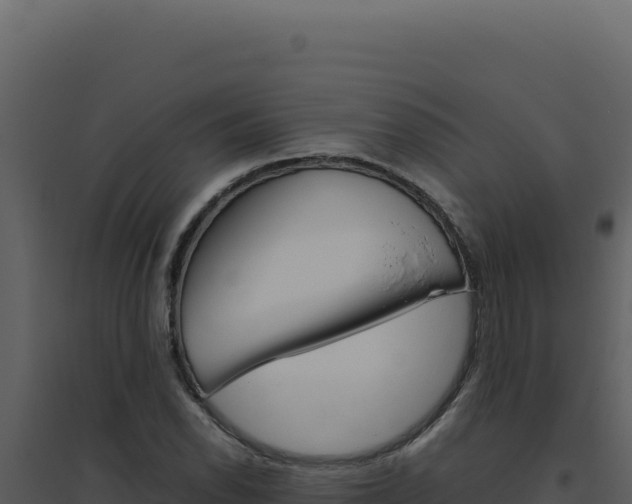 X0000094821118200711161021