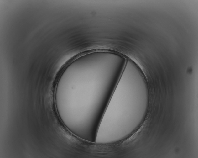 X0000094821119200711161021