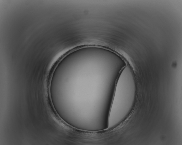 X0000094821120200711161021