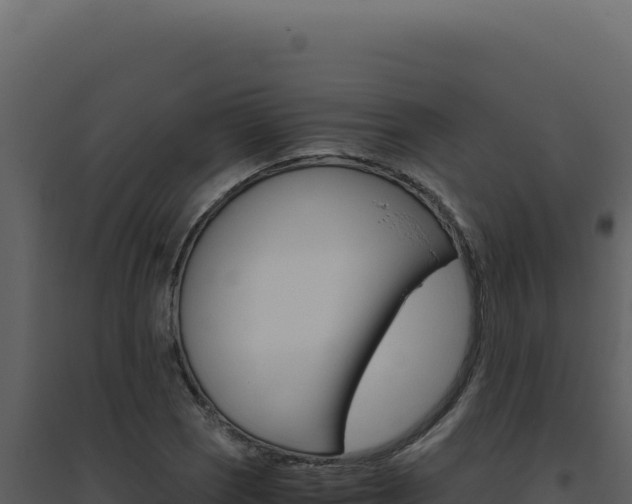 X0000094821121200711161021