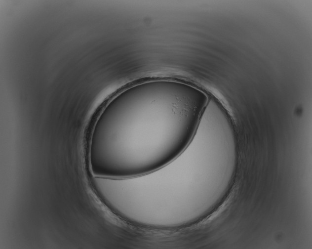 X0000094821122200711161021