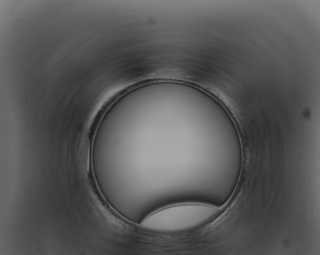 X0000094821123200711161021