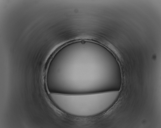X0000094821124200711161021