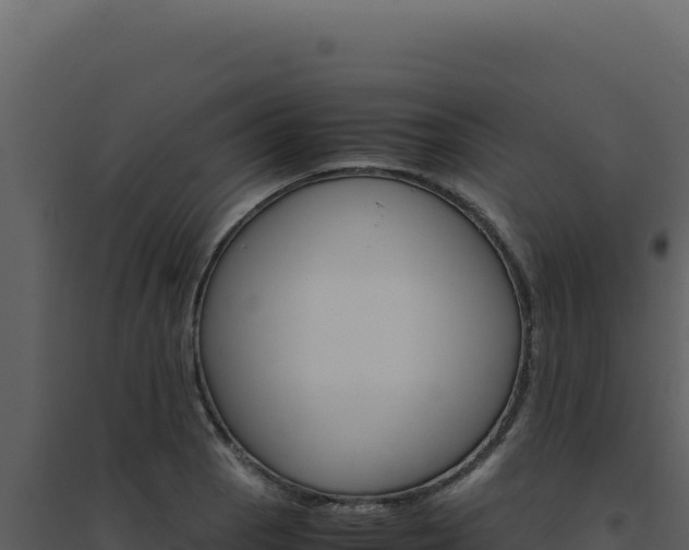 X0000094821129200711161021