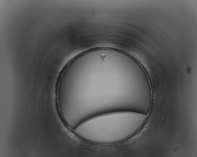 X0000094821133200711161022