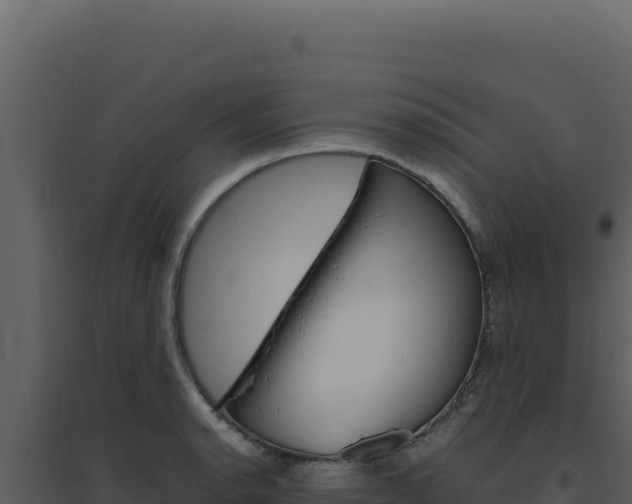 X0000094821134200711161022